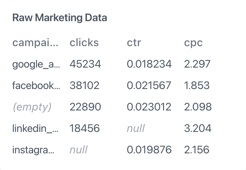 Raw Marketing Data